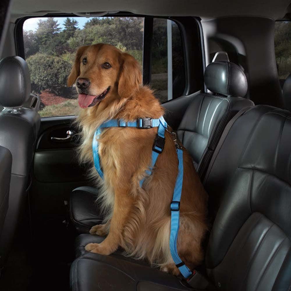 Me & My Pets Car Seat Belt Clip Blue 