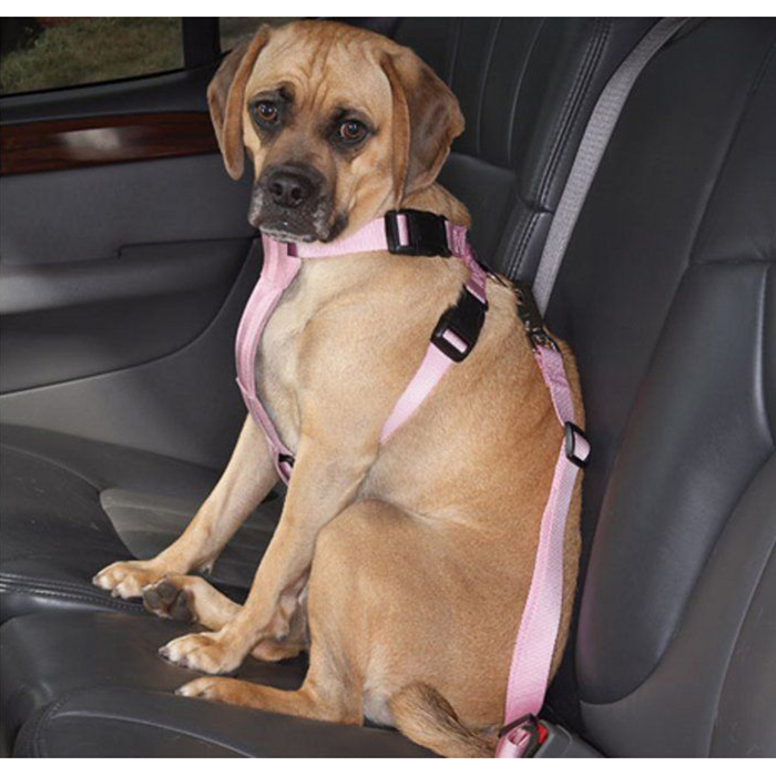 Pet Seat Belt >> Accessorygeeks Com Adjustable Pet Car Seat Belt Pink Keep Your Pet Seat Belt >> Accessorygeeks Com Adjustable Pet Car Seat Belt Pink Keep Your